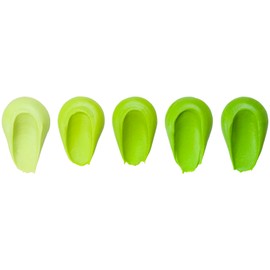 DecoPac Premium Gel Food Coloring | Neon Bright Green Food Coloring For Baking | 8oz | Color Buttercream, Fondant, Frosting & Piping Gel, Food Safe, Highly Concentrated Gel, 8 oz - Neon Bright Green