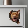 Pitbull Decal - Wall Hole Dog Sticker with 3D Effect
