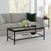 Henn&Hart 45" Wide Rectangular Rectangular Coffee Table in Blackened Bronze,