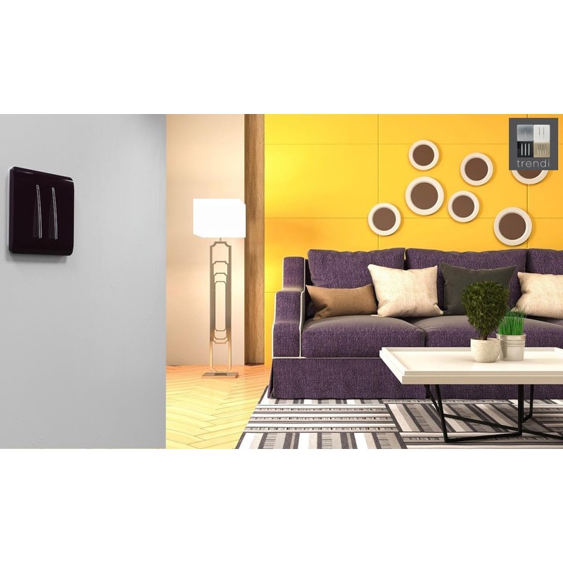 Trendi 2 Gang 2 Way Artistic Modern Glossy 10 Amp