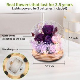 Long-Lasting Real Flowers，Preserved Rose in Glass Dome with Hydrangea and LED Light，Roses Gifts for Women Mom on Mothers Day Birthday Valentines Day Christmas Thanksgiving （Purple&Pink Austin Rose）