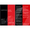 GLASFOTO.COM, The Mouse, Crystal Glass Interior Engraving in Premium Quality