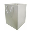 Glossy Vibrant Flower Gift Bag, Bouquet Vase | Valentines |