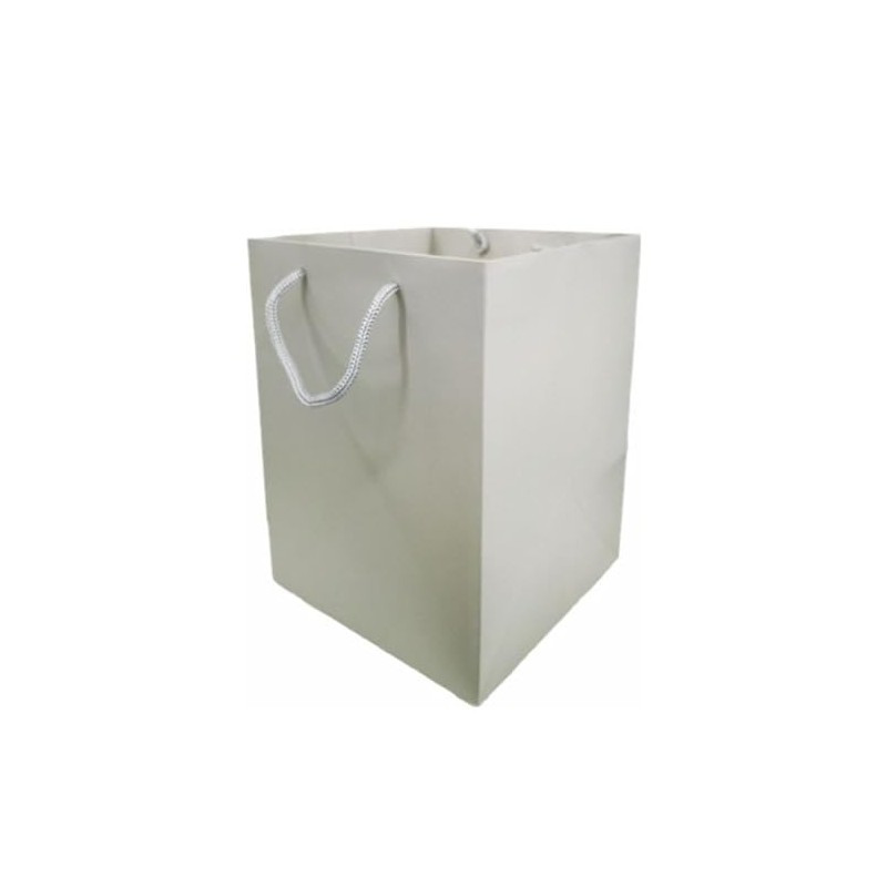 Glossy Vibrant Flower Gift Bag, Bouquet Vase | Valentines |
