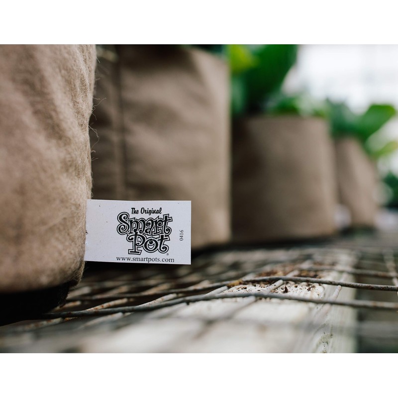 Smart Pots 7-Gallon Smart Pot Soft-Sided Container, Tan