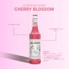 MONIN Sakura Syrup, 8.5 fl oz (250 ml)