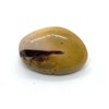 Mookaite Medium Crystal Tumbled Stone - 1 Pc