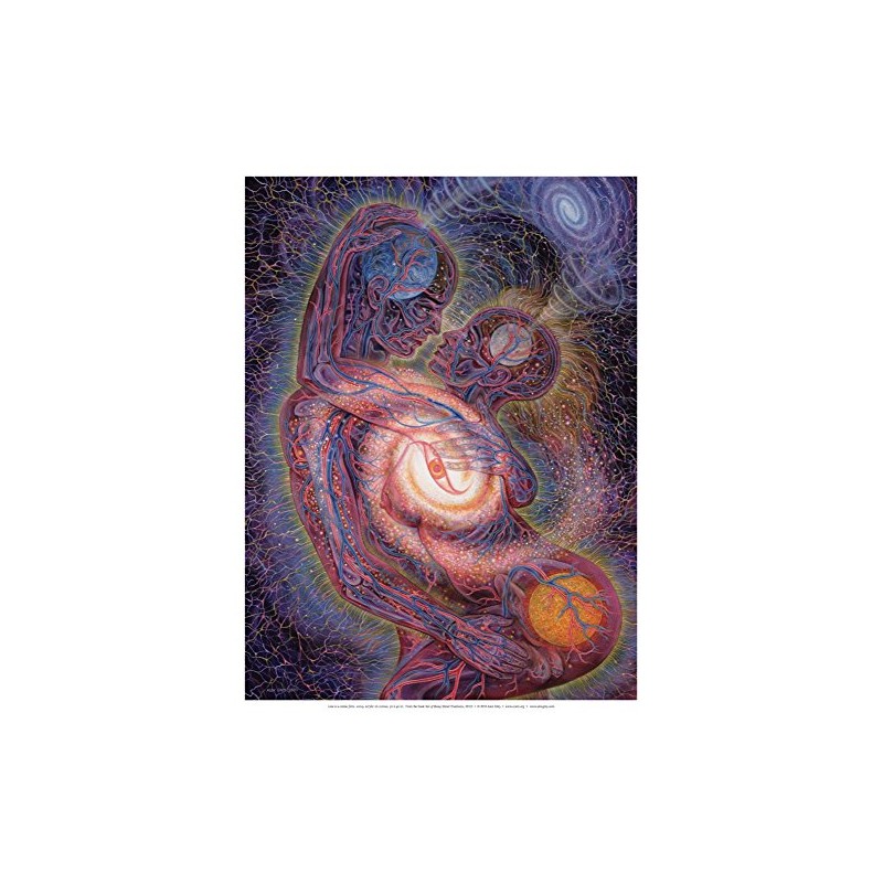 Alex Grey - Love is a Cosmic Force