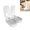2 Meal Automatic Pet Feeder Large Capacity Smart Timed Dry