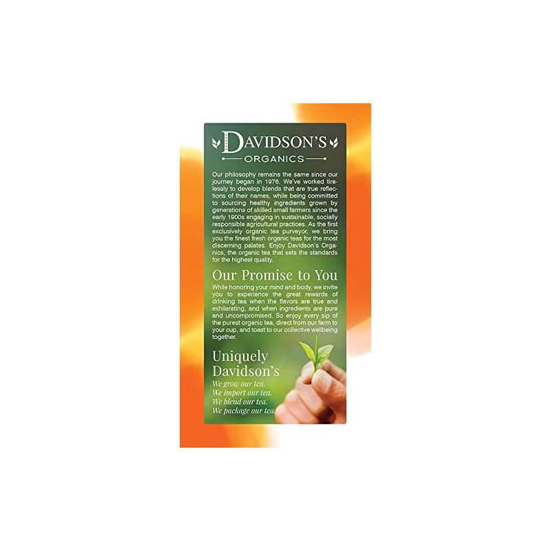 Davidson's Organics, Spiced Raspberry, 25-count Tea Bags, Pack of 6