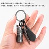 TIMULTI Key Ring Titanium Carabiner Keychain Ring Double Ring Keychain