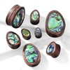 Pierced Owl Abalone Inlaid Sono Wood Tear Drop Saddle Plugs,