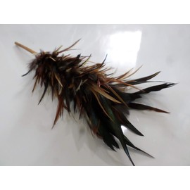Real chicken rooster feather duster 17 inch