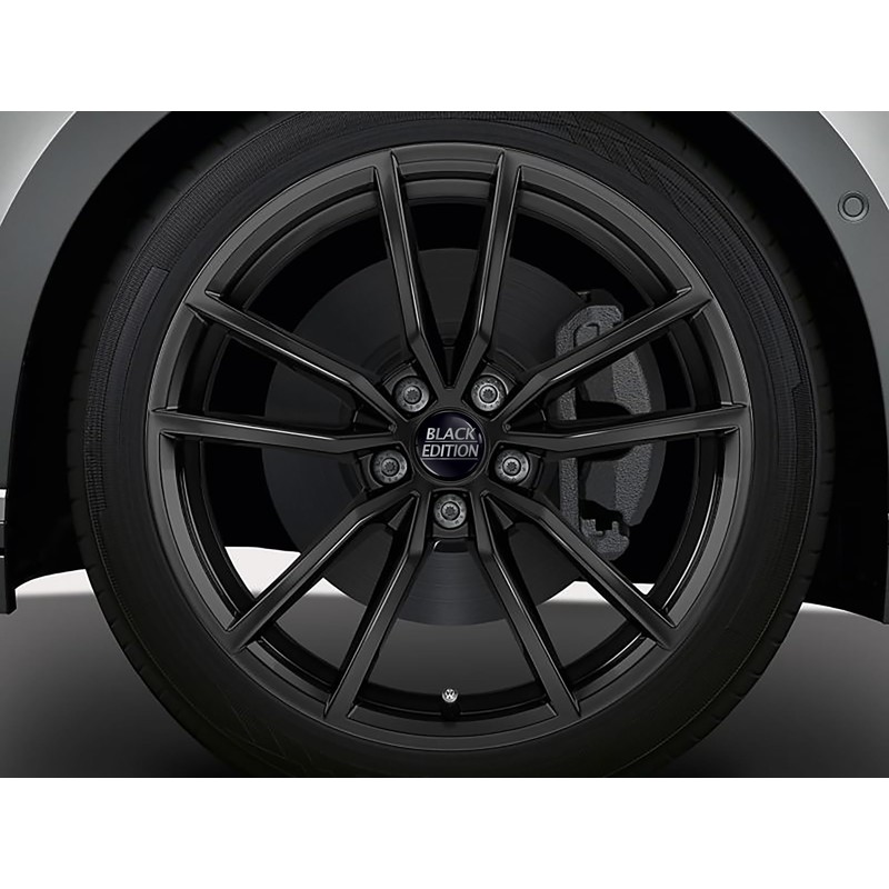 Biomar Labs 4 x 60 mm Plastic Hub Caps Black