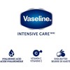 Vaseline Loción Hidratante Nutritiva De Cuidado Intensivo (Paquete De 2)