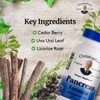 Christopher's Original Formulas Pancreas Formula - Pancreas Cleanse Detox &