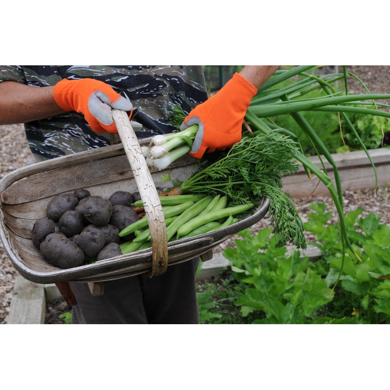 Donkey Gloves | Multipurpose Gloves for Gardening, DIY, House Work,