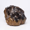MOLMH Weird Ugly Funny Monster Frog Obese Toad Garden Accessories