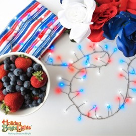 Holiday Bright Lights 14.4FT Big Seed Connectable Micro String Lights, Color Changing Indoor Outdoor Mini Fairy Lights