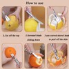 2 Pcs Stainless Steel Orange Grapefruit Citrus Peeler, Easy to