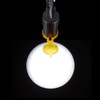 5W LED Light On Dental Loupes with Filter Portable Led