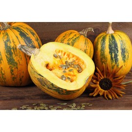 Seeds Pumpkin Muscat Vitamin Big Decorative Ornamental Unique Giant Vegetable for Planting Garden Ukraine