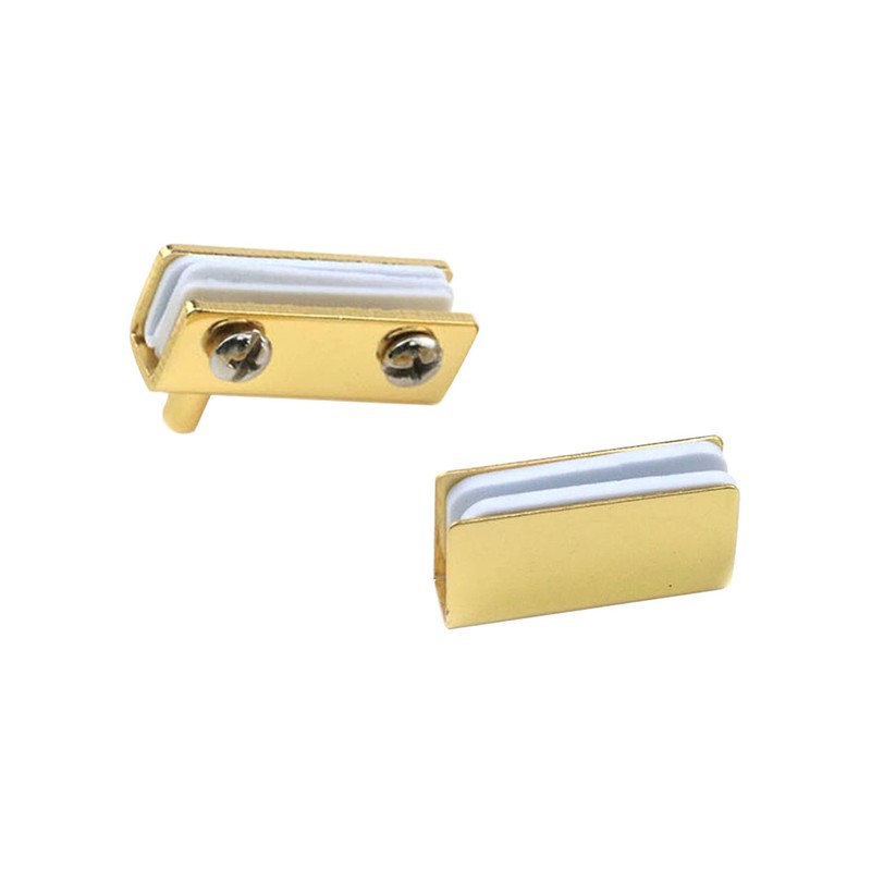 Glass Door Pivot Hinge Glass Door Magnetic Catch with Clamp