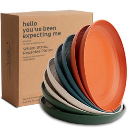 Nook Theory Reusable Wheat Straw Plates 8 Pcs - Non Toxic Kids and Toddler Plate, Microwavable, Dishwasher Safe and Unbreakable Dinnerware (Urban 10")