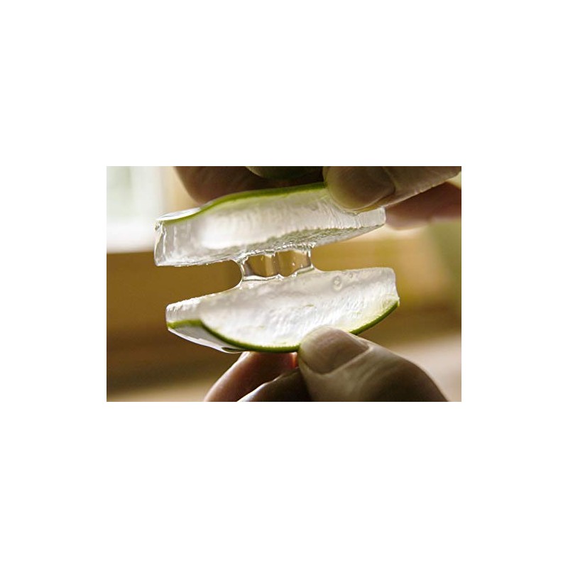 Pharmos Natur - Beauty - Basic Care - Gesichtspflege -