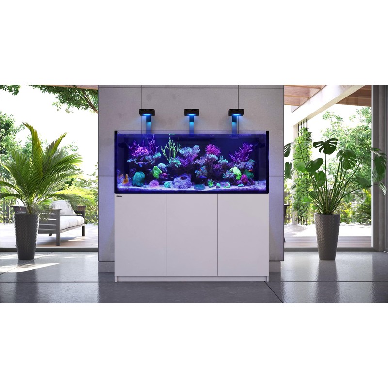 Red Sea Reef Foundation B Alkalinity (KH) Supplement, 1000ml -