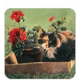 Legacy Cork Back Coaster-Cat Design-CALICO IN FLOWER BOX-Create Your Own Set!