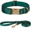 Lionet Paws Silk Dog Collar and Leash Set, Adjustable Comfortable