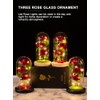 Glass Dome Rose Ornament LED Strip Light Blessing Romantic Glass