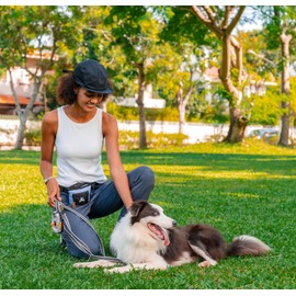 OllyDog Goodie Treat Bag, Dog Treat Pouch, Waist Belt Clip for Hands-Free Training, Magnetic Closure, Dog Training and Behavior Aids, Three Ways to Wear (Blue Heron)