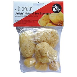 Artists' Natural Sea Sponges Assorted Sizes and Shapes