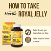 Herba Royal Jelly Capsules 1000mg - 200 Soft Gel |