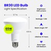 Feit Electric BR30 LED Light Bulb, 65W Equivalent, Dimmable, 650