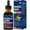 Nurbetoxa Rhodiola Rosea Liquid Drops, Natural Herbal Extract for Energy