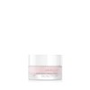 Charlotte Meentzen Silk & Pure Good Night Creme-Sorbet 50 ml