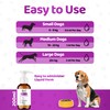 Liquid Supplement for Aging Dogs - Comprehensive Joint & Cognitive