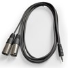 AxcessAbles TRS18-DXLR402M 1/8-inch (3.5mm) Stereo Balanced TRS Minijack to Dual