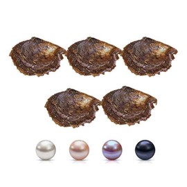 LGSY 7-8mm Mixed Colored Akoya Saltwater Cultured Pearl Oysters for DIY Jewelry Making, Pack of 5Pcs(White/Pink/Purple/Black)
