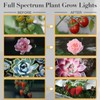 iPower Full Spectrum Clip Plant Growing Lamp with 126 White