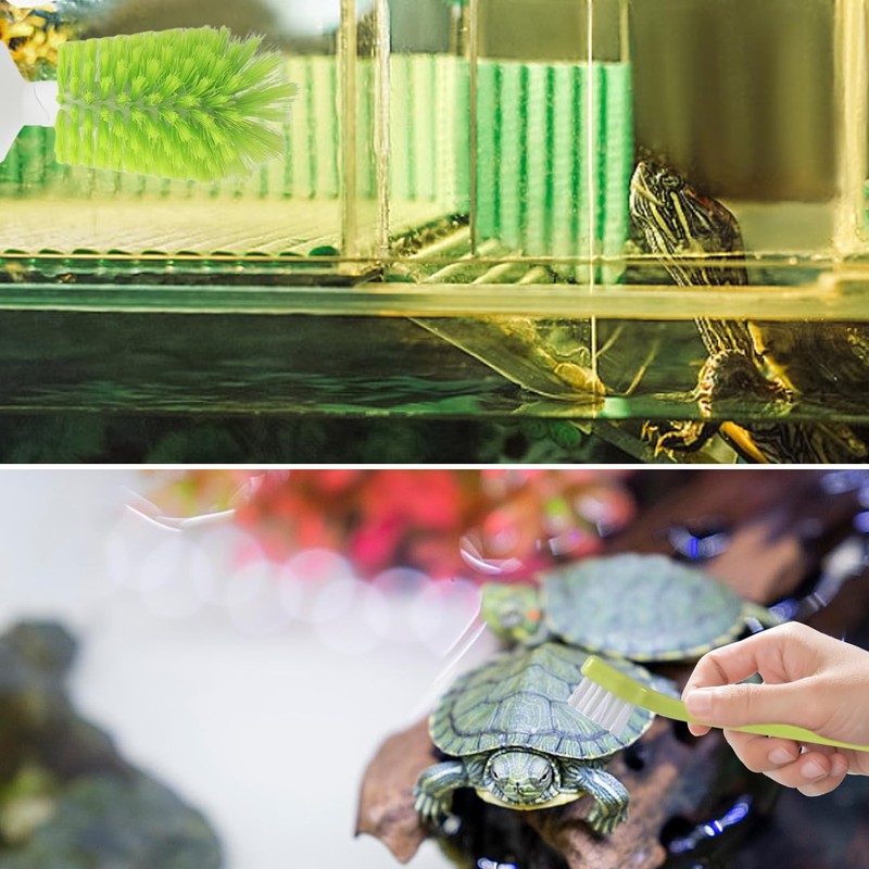 Turtle Brush with Suction Cup Turtle Brush Turtle Tank Accessories
