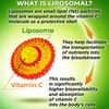 Liposomal Vitamin C Liquid Gel Capsules 1100mg - Made with