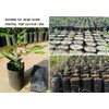 Frjjthchy 100 PCS Thicken Plastic Nursery Bags for Plants Fruit