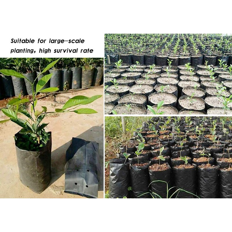 Frjjthchy 100 PCS Thicken Plastic Nursery Bags for Plants Fruit