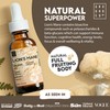 Lions Mane Supplement - High Strength 115,000mg Lions Mane Extract
