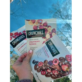 Crunchies Freeze-Dried Fruits, 100% All Natural Crispy Fruit, Non GMO and Kosher, Resealable Freeze Dried Fruit Snack Packs, Pack of 6 (Strawberry Lovers Variety Pack)