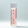 Burt's Bees Lip Balm Moisturizing 4.25g, Ultra Conditioning, 1 piece / 버츠비 립밤 모이스처 라이징 4.25g, 울트라 컨디셔닝, 1개